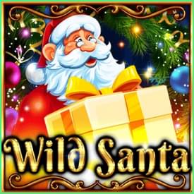 Wild Santa